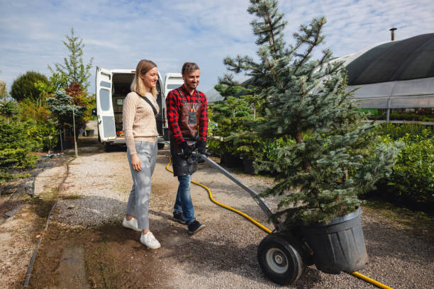 Best Tree Trimming Near Me  in USA